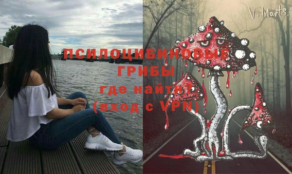 сатива Магадан