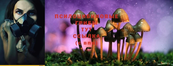 прущие крисы Белокуриха