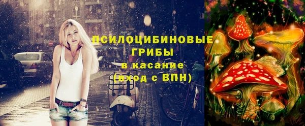 2c-b Медногорск