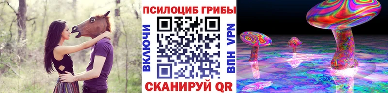 Псилоцибиновые грибы Magic Shrooms  купить  цена  Тольятти 